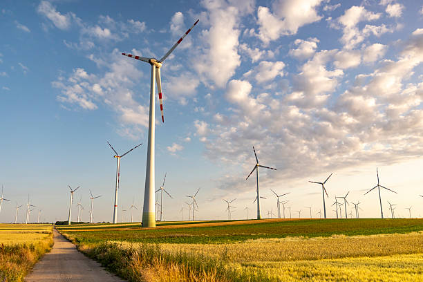 istock Expansive Wind Turbines Over Golden Agricultural Fields Beneath a Cloudy Sky 2230537703