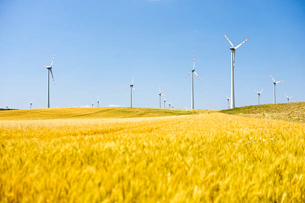istock Modern Wind Turbines Rising Above Golden Wheat Fields Under Clear Blue Summer Sky 2230537705