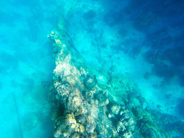 Top view of closeup snorkeling in Palau - showcasing a shipwreck and coral reef highlighting marine ecology