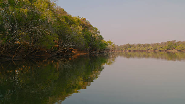 istock Scenic View of Lush Forest Reflecting on Calm River Waters 2230541655