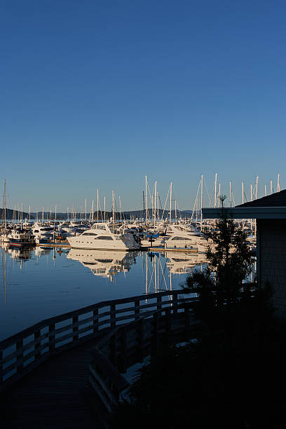istock Sailboats and Yachts at Sidney Marina 2230542160