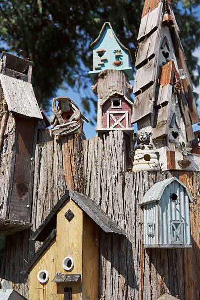 Decorative wooden birdhouses in Hope BC