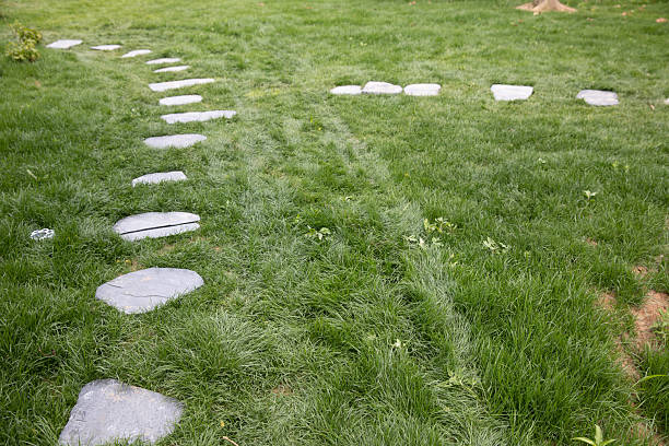 Tranquil Stone Path Through a Lush Tropical Garden
