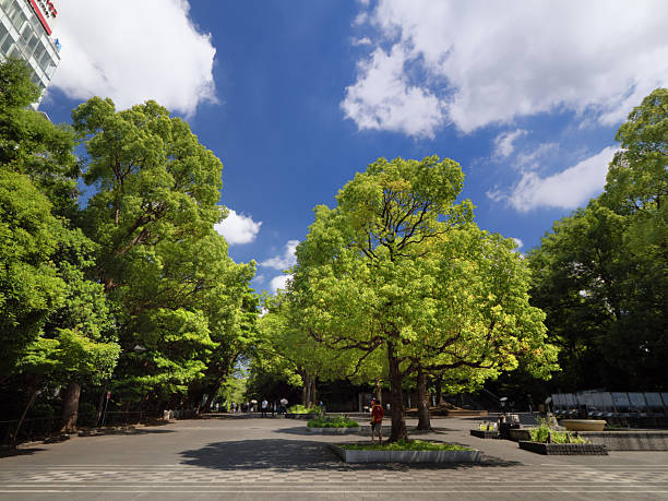 istock Ueno Park, Tokyo 2230546717