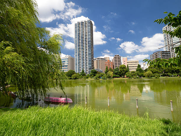 Shinobazu Pond, Ueno, Tokyo