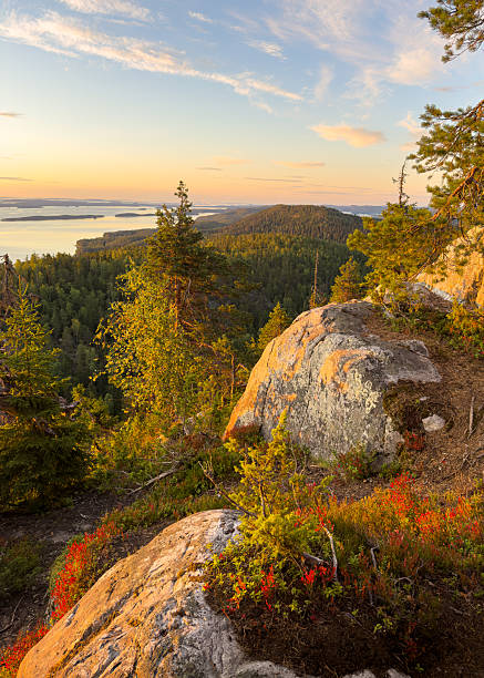 istock Beautiful sunrise in Koli National Park 2230547305