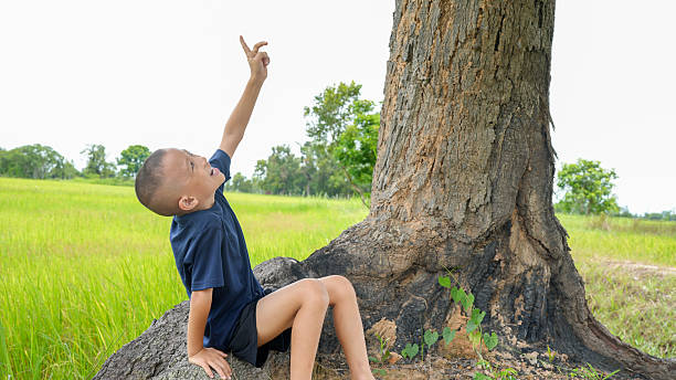 Young boy sits on ground near large tree, pointing excitedly at something above. scene is set in lush green field, evoking sense of wonder and curiosity
