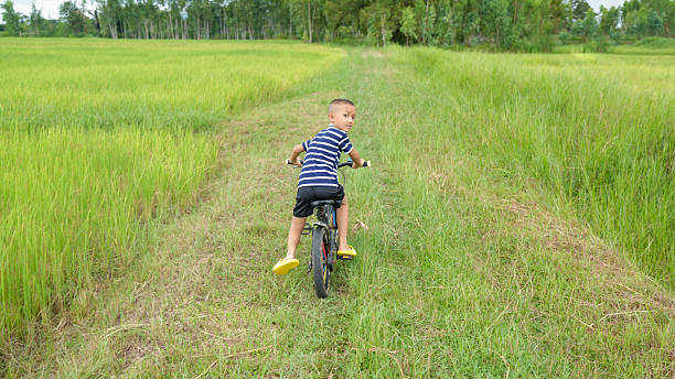 Young boy rides bicycle along grassy path in lush green field, surrounded by tall rice plants. scene captures sense of adventure and freedom in nature