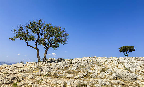 istock Rocky hillside featuring scattered trees under the clear blue sky at the archaeological site of Mycenae within Greece, captured upon a bright summer day with warm natural light 2230547689