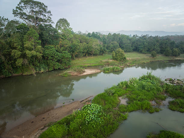 istock Aerial view tropical green tree foresr river ecology system 2230554028