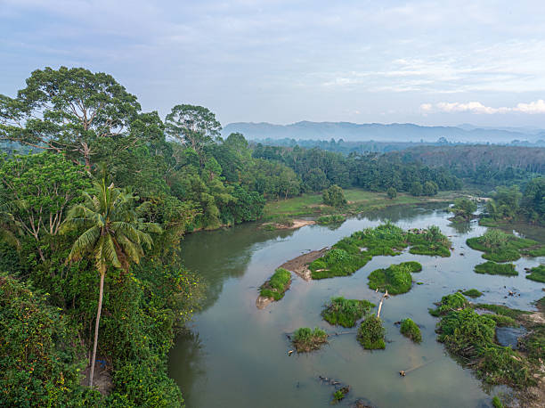 istock Aerial view tropical green tree foresr river ecology system 2230554034