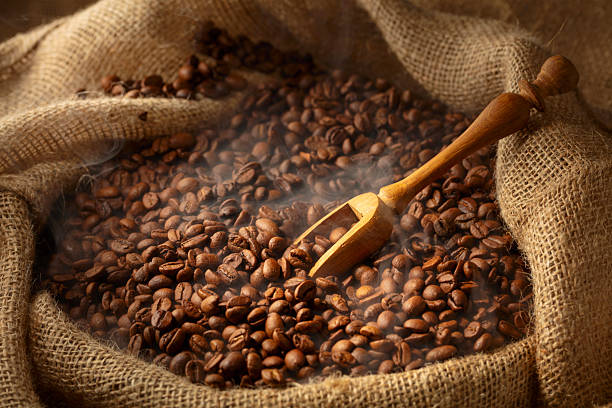 istock Fresh roasted coffee beans in burlap bag. 2230554214