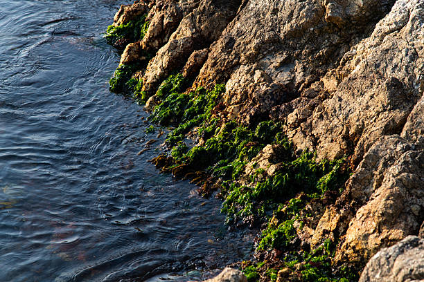 tranquil seascape
