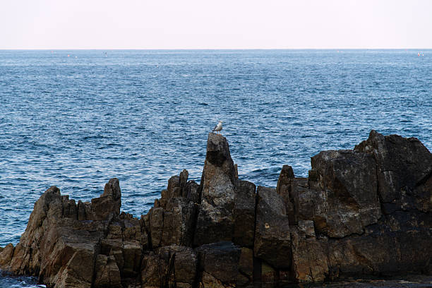 idyllic seascape