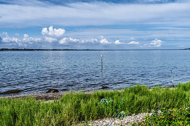 Peaceful landscape of a calm ocean bordered by vibrant greenery and under a clear, picturesque sky.