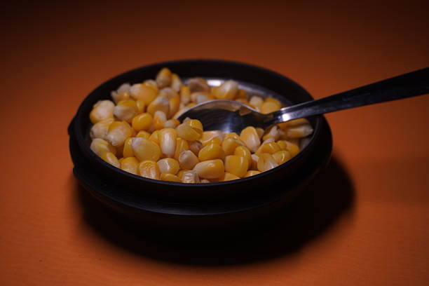 Sweet Corn : Corn kernels are small maize fruits containing a hard shell, dense starch-filled endosperm, and embryo germ essential for growth