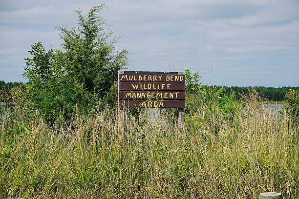 istock Snake Creek Recreation Area Iowa 2230570517