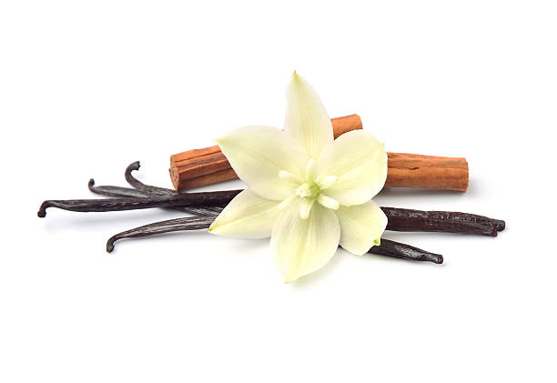 istock Vanilla stick with vanilla flower and cinnamon pods 2230571679