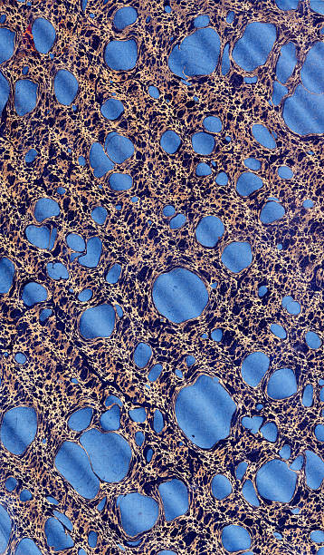 istock Vintage marbled paper background texture, blue blobs on gold and purple 2230574954