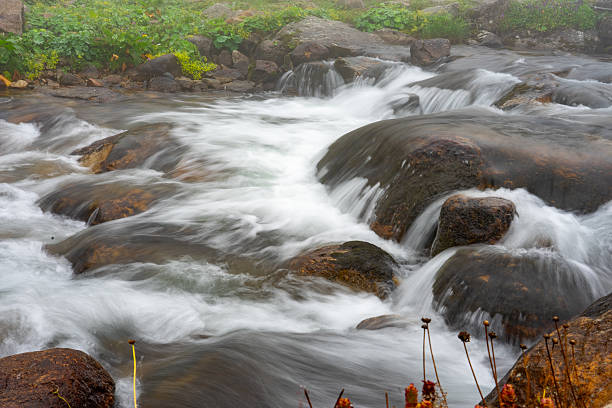Crystal clear water flows over moss covered rocks in a picturesque mountain stream, creating a tranquil natural scene