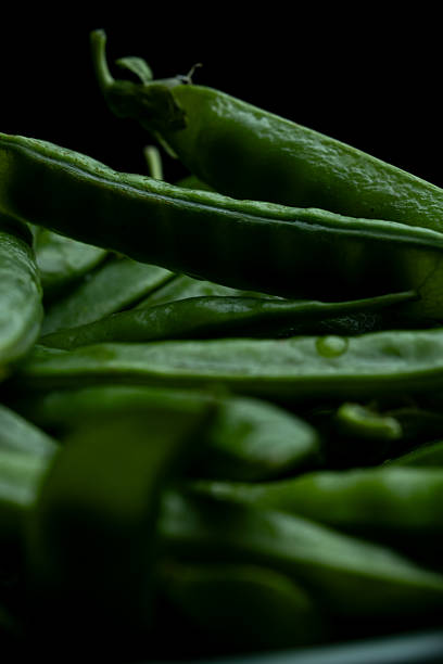 The variety produces large thin and tender pods which are good in salads.