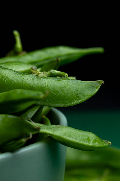 A bowl filled with vibrant green pea pods (Pisum sativum) is surrounded by more pods. Their smooth, glossy surfaces and rich green color indicate freshness. The peas are arranged in a slightly overlapping manner, emphasizing a sense of abundance and texture. The bowl is placed on a matching green background, enhancing the natural look.