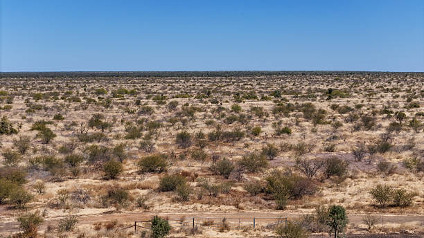 istock Arid scrubland in outback Queensland 2230584726