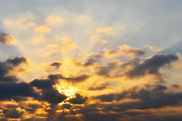 Golden sky with stormy dark cumulus fluffy cloud. Sunlight shining through the cloudscape. Sunset sunrise sky background. Beautiful nature.