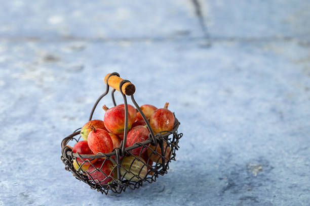 Ripe red and green gooseberries spilling out of a small wire basket on a light blue background