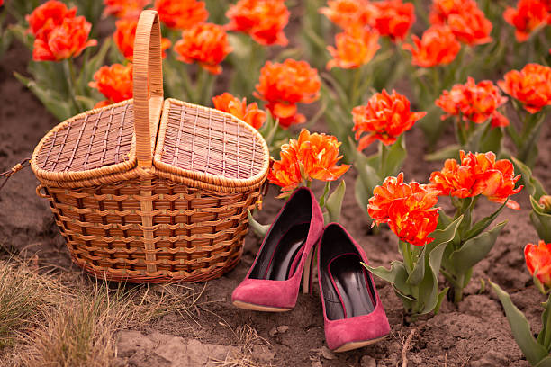 Still life with picnic basket and elegant shoes placed among blooming tulips in spring garden.