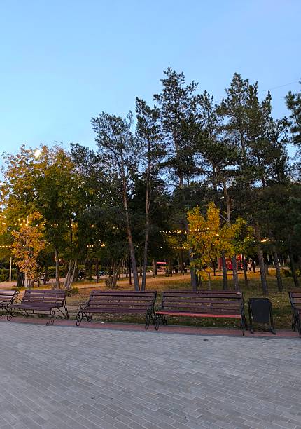 istock Scenic Park View with Benches and Trees at Dusk A Perfect Spot for Relaxation and Reflection 2230592641