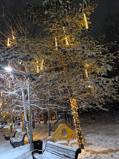 istock Winter Wonderland Snow-Covered Park with Illuminated Trees, Creating a Festive Atmosphere 2230592646