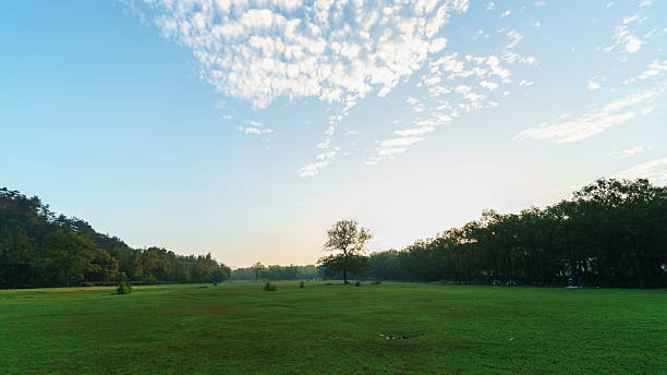 istock Outdoor grassland, early morning dawn scenery 2230592810