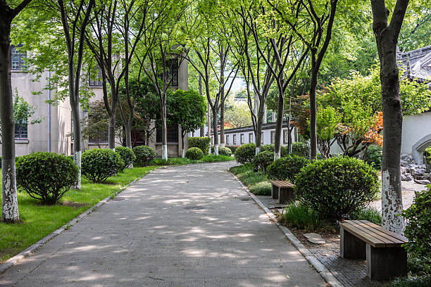 Empty sidewalks and trees