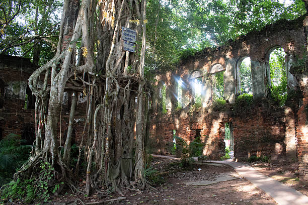 istock sun rays through arched ruins and banyan tree roots at 