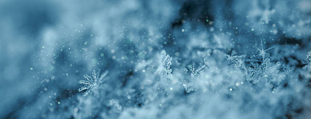 Delicate snowflakes captured in a macro close-up view, showcasing their unique crystalline patterns and frosty textures. The soft blue tones and shallow depth of field highlight the beauty and fragility of winter ice crystals, creating a dreamy seasonal background.