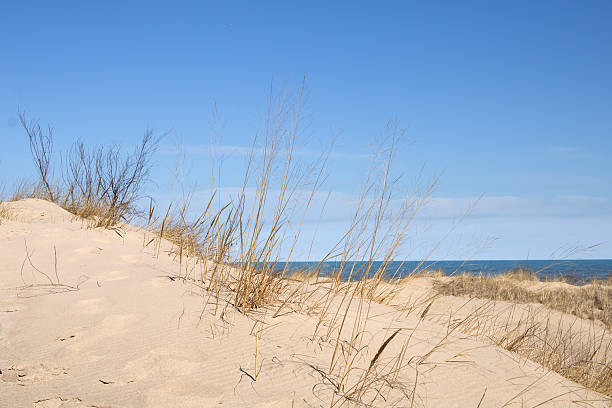 istock Indiana Dunes in winter 2230603097