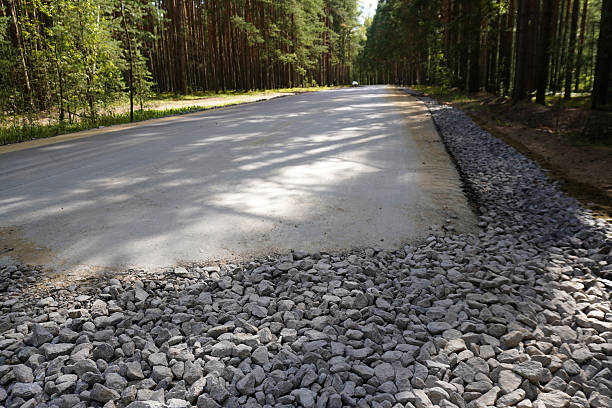 istock New asphalt road leading through pine forest with gravel shoulders 2230604019