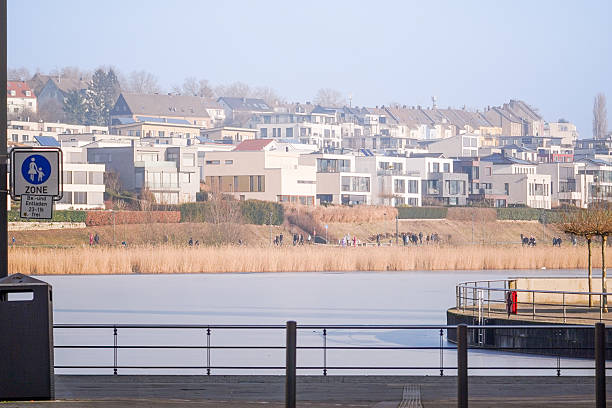 Edge of Phoenix See lake in Dortmund with reed grass and residential building in the background on a cols winter day, Germany