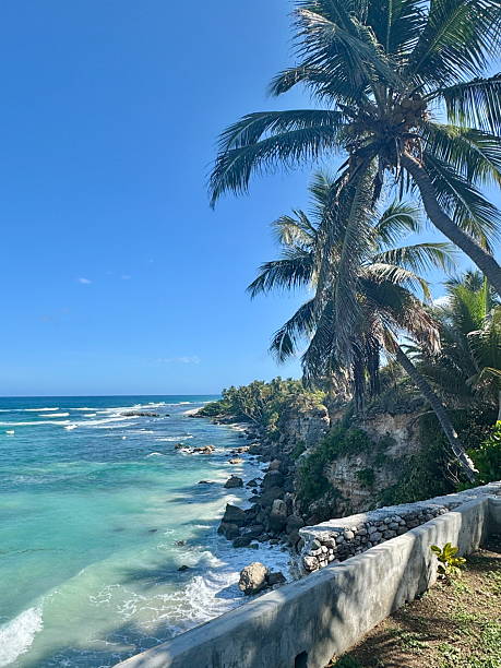 istock Coastal View Along Playa El Quemaito 2230606620