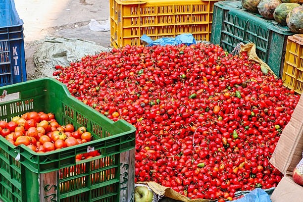 Kathmandu,Nepal,October 18,2018-Fresh tomatoes and red peppers on sale in a market near Kathmandu's durbar square,Nepal