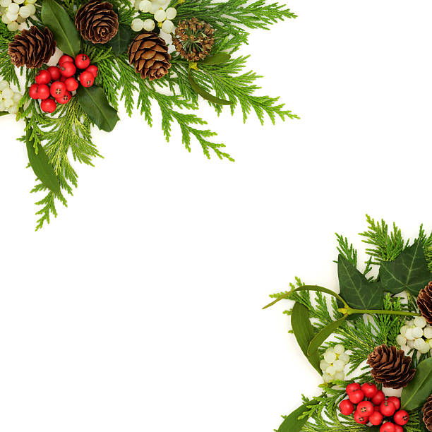 Winter Solstice Holly and Flora Traditional Nature Border