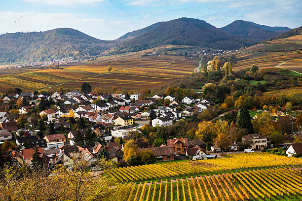 istock Kleiner Kalmit, the most beautiful views in the Palatinate 2230609280