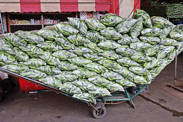 istock Cucumber bags during transport in cart. 2230611005