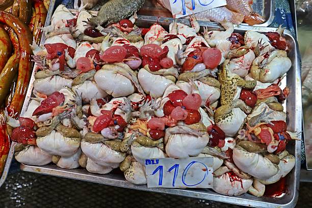 istock Prepared Frogs in Fresh Market. 2230614108