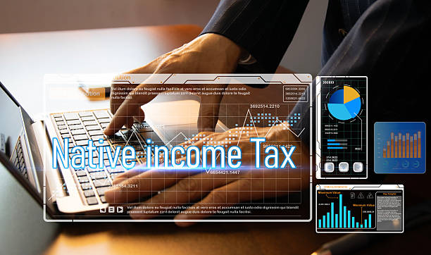 istock The concept of using a native income tax system 2230616893