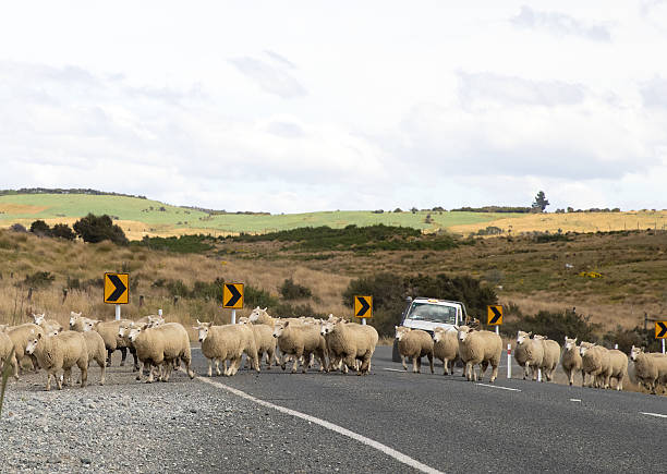 istock Te Anau New Zealand 2230621520