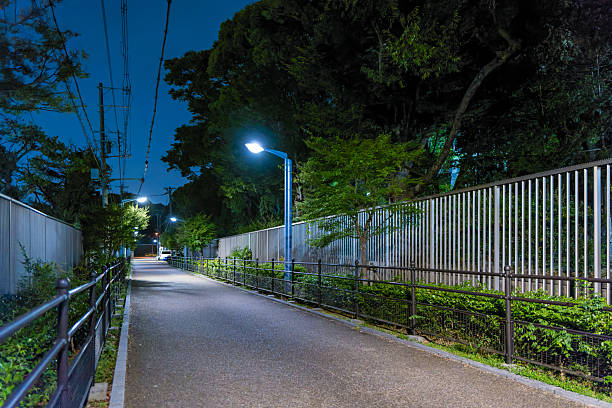Midnight Promenade with Continuous Fencing