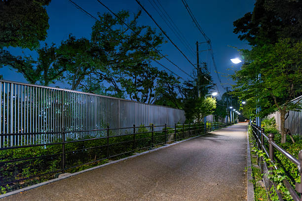 Midnight Promenade with Continuous Fencing
