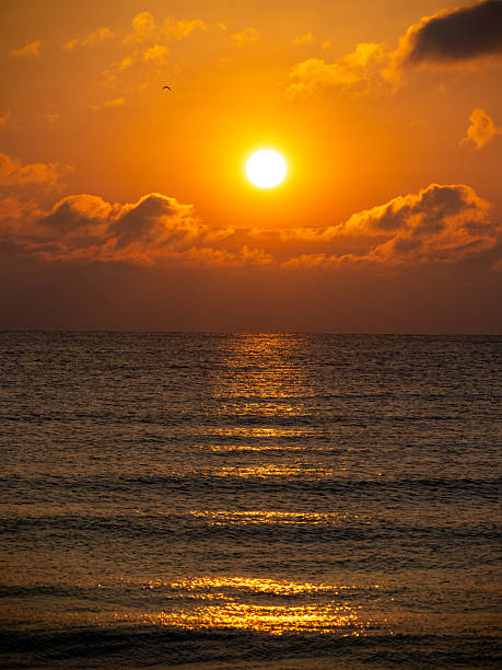 istock Golden sunrise on the seaside in Bulgaria 2230625319